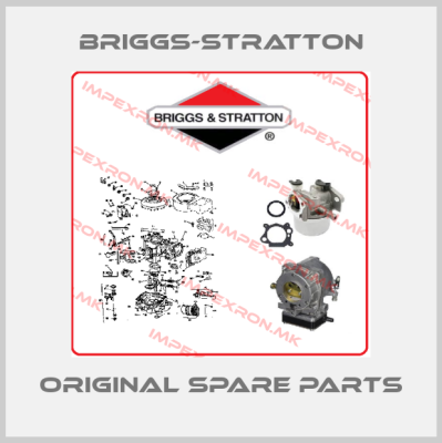 Briggs-Stratton online shop