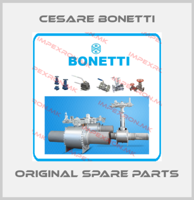 Cesare Bonetti online shop