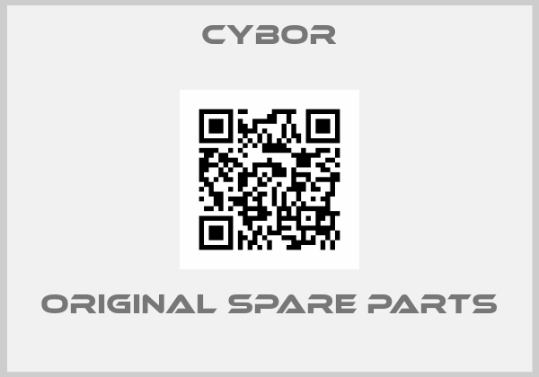 Cybor online shop
