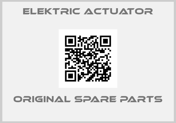 ELEKTRIC ACTUATOR online shop