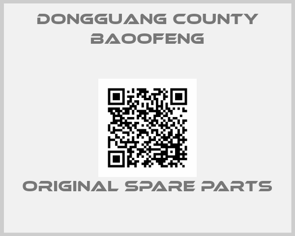 DONGGUANG COUNTY BAOOFENG online shop