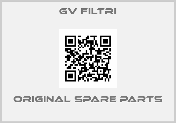 GV Filtri online shop