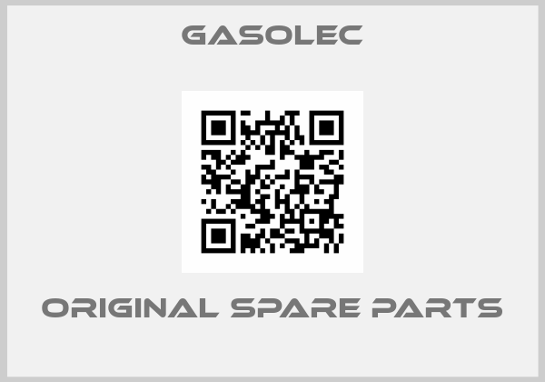 Gasolec online shop