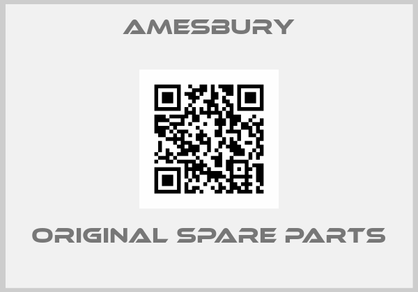 Amesbury online shop