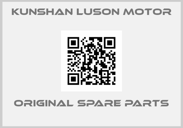 Kunshan Luson Motor