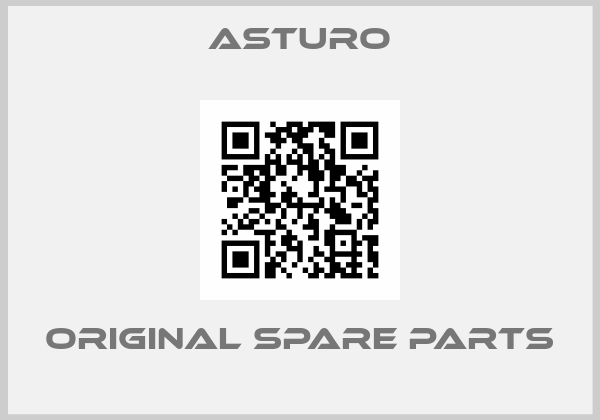 ASTURO online shop