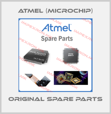 Atmel (Microchip) online shop