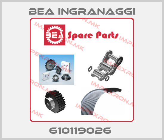 BEA Ingranaggi Europe