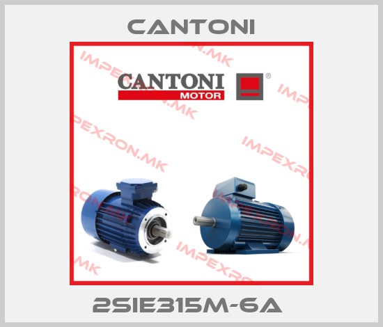 Cantoni-2SIE315M-6A price