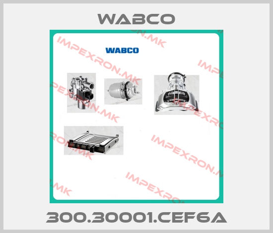 Wabco-300.30001.CEF6A price