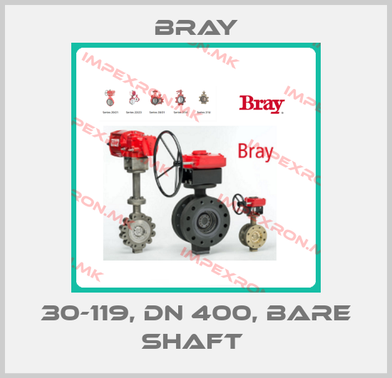 Bray-30-119, DN 400, bare shaft price