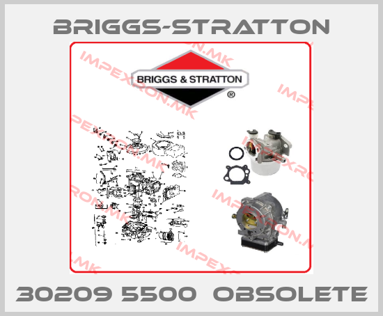 Briggs-Stratton Europe