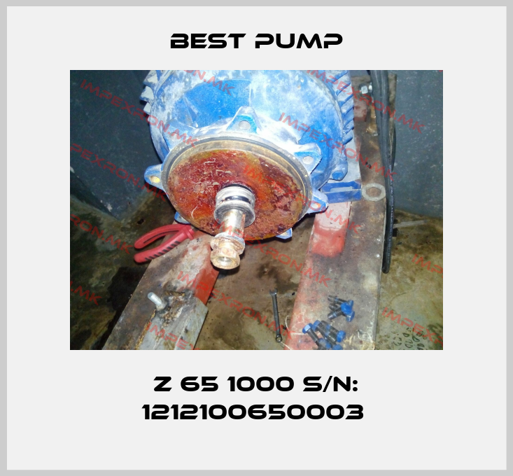 Best Pump-Z 65 1000 S/N: 1212100650003 price