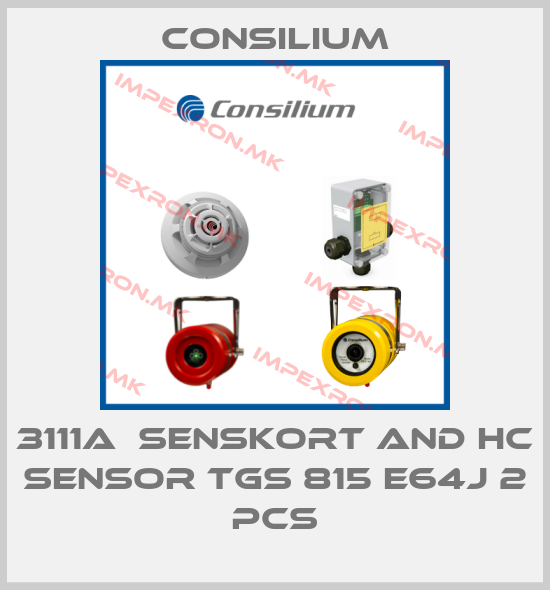 Consilium Europe