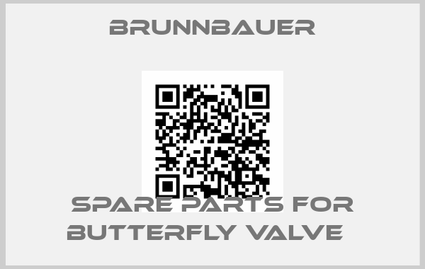 Brunnbauer-Spare parts for Butterfly valve  price