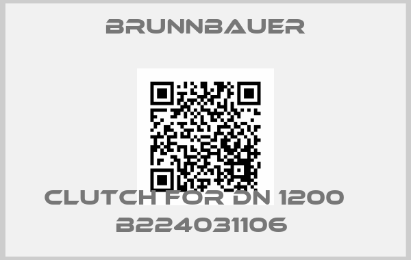Brunnbauer-Clutch for DN 1200 № B224031106 price