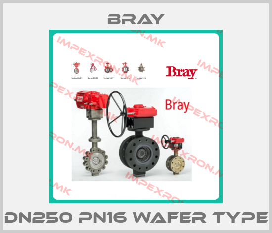 Bray-DN250 PN16 Wafer Typeprice