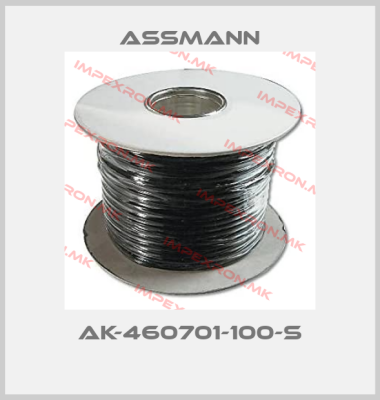 Assmann-AK-460701-100-Sprice