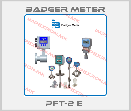Badger Meter-PFT-2 E price