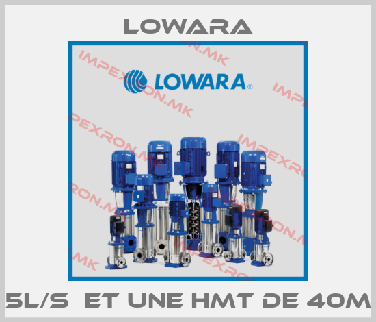 Lowara-5L/S  ET UNE HMT DE 40M price