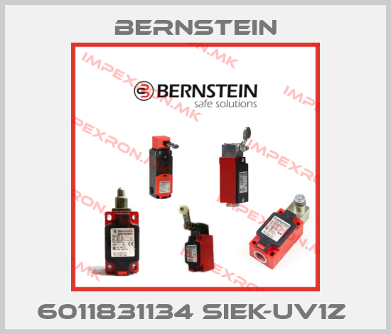 Bernstein-6011831134 SIEK-UV1Z price