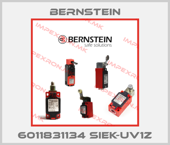 Bernstein-6011831134 SIEK-UV1Z price