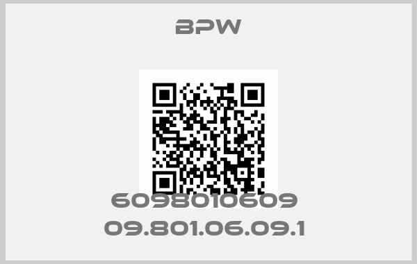 Bpw-6098010609  09.801.06.09.1 price