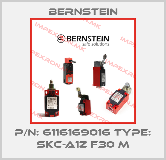 Bernstein-P/N: 6116169016 Type: SKC-A1Z F30 Mprice
