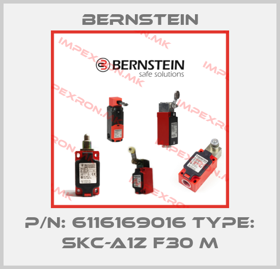 Bernstein Europe