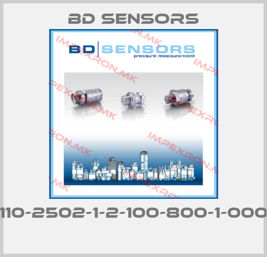 Bd Sensors-110-2502-1-2-100-800-1-000 price