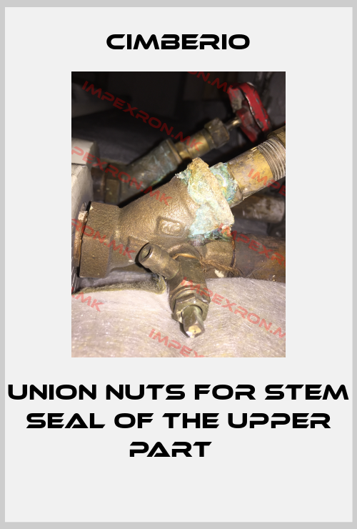 Cimberio-union nuts for stem seal of the upper part  price