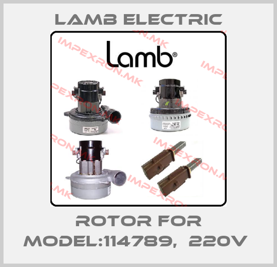 Lamb Electric-Rotor for Model:114789,  220V price