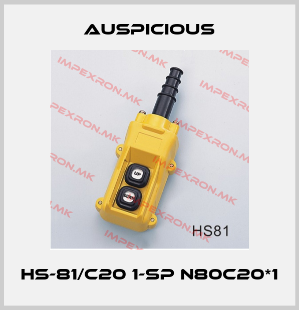 Auspicious-HS-81/C20 1-SP N80C20*1price