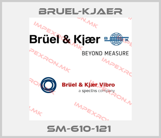 Bruel-Kjaer-SM-610-121 price