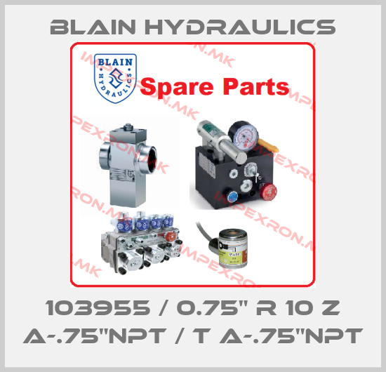 Blain Hydraulics-103955 / 0.75" R 10 Z A-.75"NPT / T A-.75"NPTprice