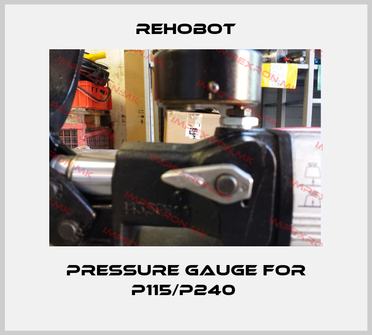 Rehobot-Pressure gauge for P115/P240 price