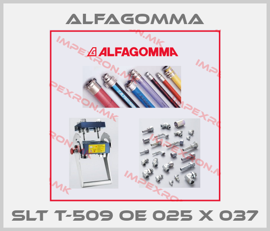 Alfagomma-SLT T-509 OE 025 X 037price
