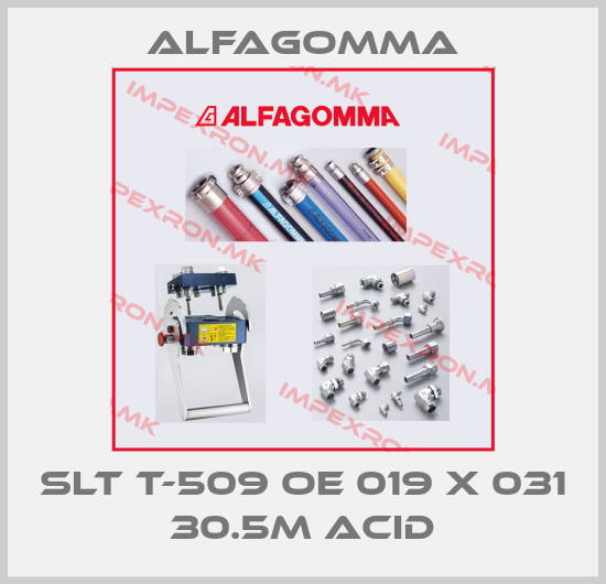 Alfagomma-SLT T-509 OE 019 X 031 30.5M ACIDprice