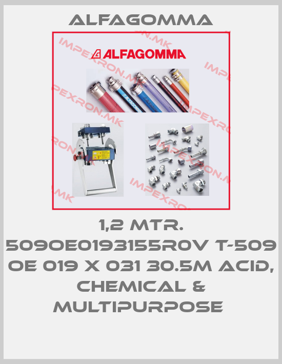 Alfagomma-1,2 MTR. 509OE0193155R0V T-509 OE 019 X 031 30.5M ACID, CHEMICAL & MULTIPURPOSE price