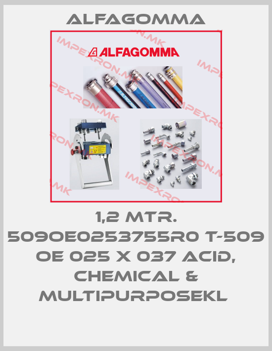 Alfagomma-1,2 MTR. 509OE0253755R0 T-509 OE 025 X 037 ACID, CHEMICAL & MULTIPURPOSEKL price
