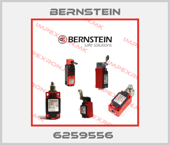 Bernstein-6259556 price