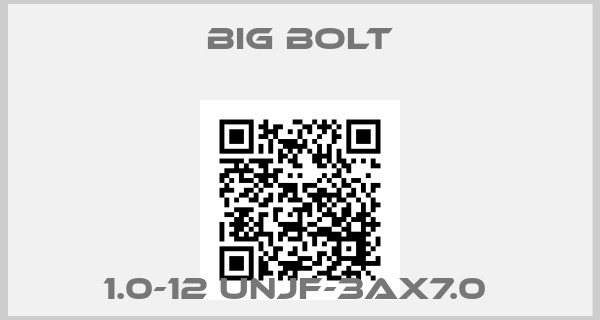 Big Bolt-1.0-12 UNJF-3AX7.0 price