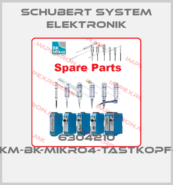 Schubert System Elektronik Europe