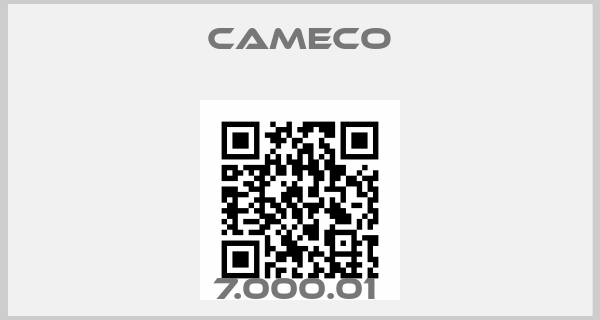 Cameco-7.000.01 price