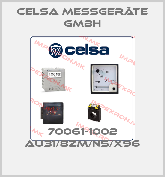 CELSA MESSGERÄTE GMBH Europe