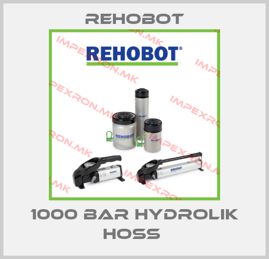 Rehobot-1000 BAR HYDROLIK HOSS price