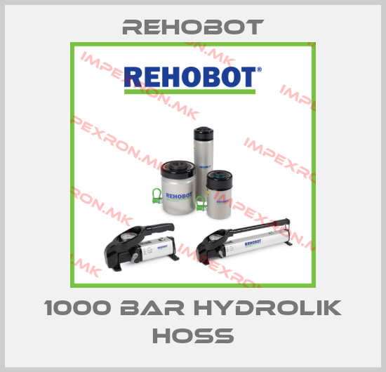 Rehobot-1000 BAR HYDROLIK HOSS price