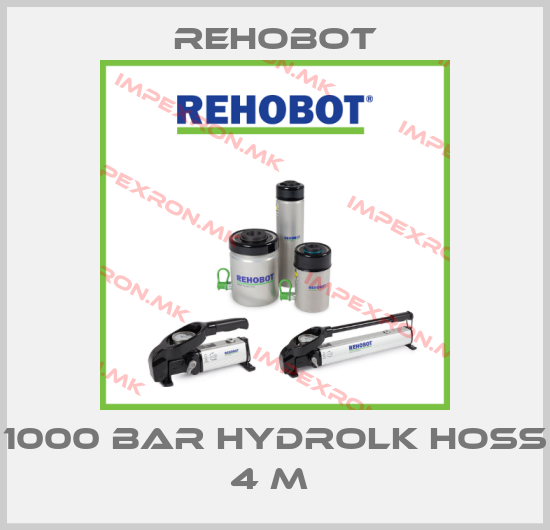 Rehobot-1000 BAR HYDROLK HOSS 4 M price