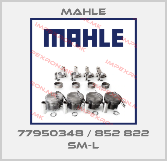 MAHLE Europe
