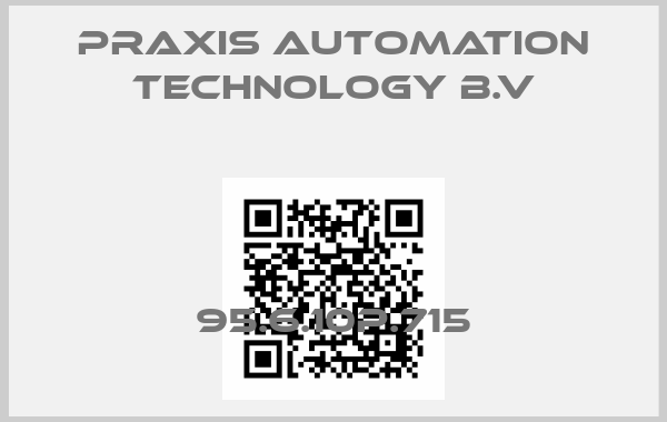Praxis Automation Technology B.V-95.6.10P.715price